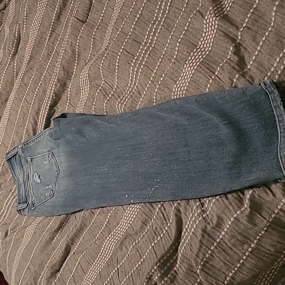 NWT judy blues distressed denim